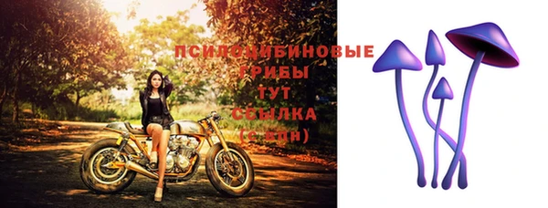 круглые Осинники