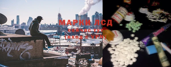 стаф Абинск