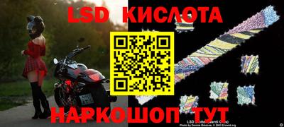 шишки Гусиноозёрск