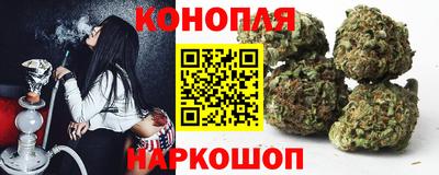 шишки Гусиноозёрск