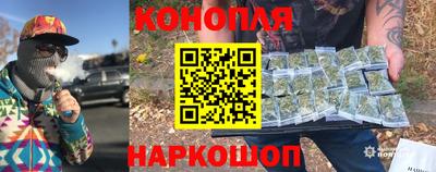 шишки Гусиноозёрск