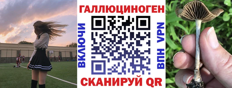 Галлюциногенные грибы Cubensis  цены   Нижневартовск 