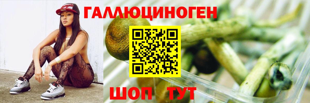 Галлюциногенные грибы ЛСД  Нижневартовск  Псилоцибиновые грибы GOLDEN TEACHER 