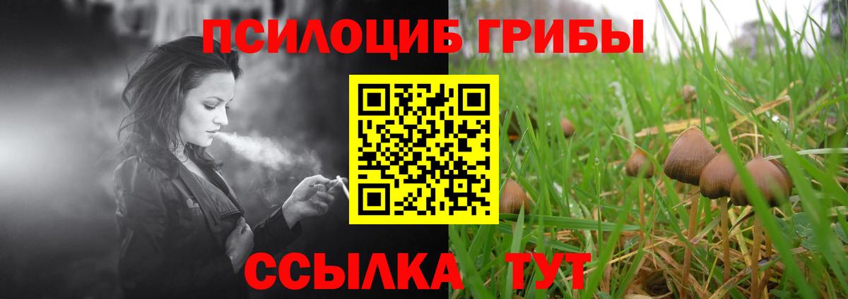 Галлюциногенные грибы мицелий  Вход с VPN  Нижневартовск  Псилоцибиновые грибы мицелий 